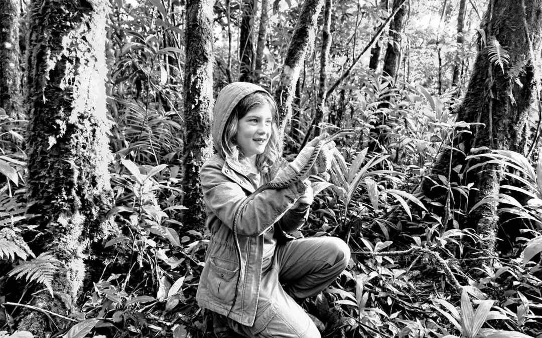 Den Namen tanzen – Waldorfpädagogik verstehen und Missverständnisse aufklären