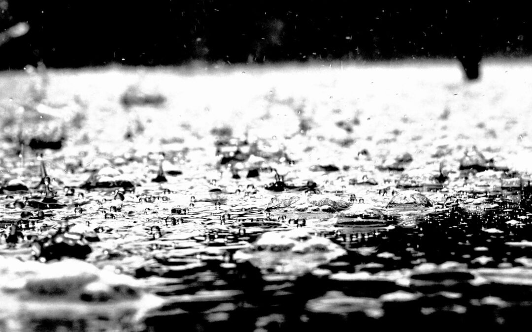 Der Geruch von Regen: Alles über Petrichor und warum wir ihn so intensiv wahrnehmen