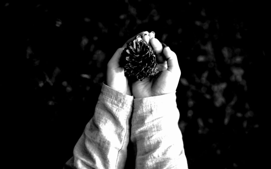 Doomsday Vault auf Spitzbergen: Alles über den globalen Saatgut-Tresor der Menschheit