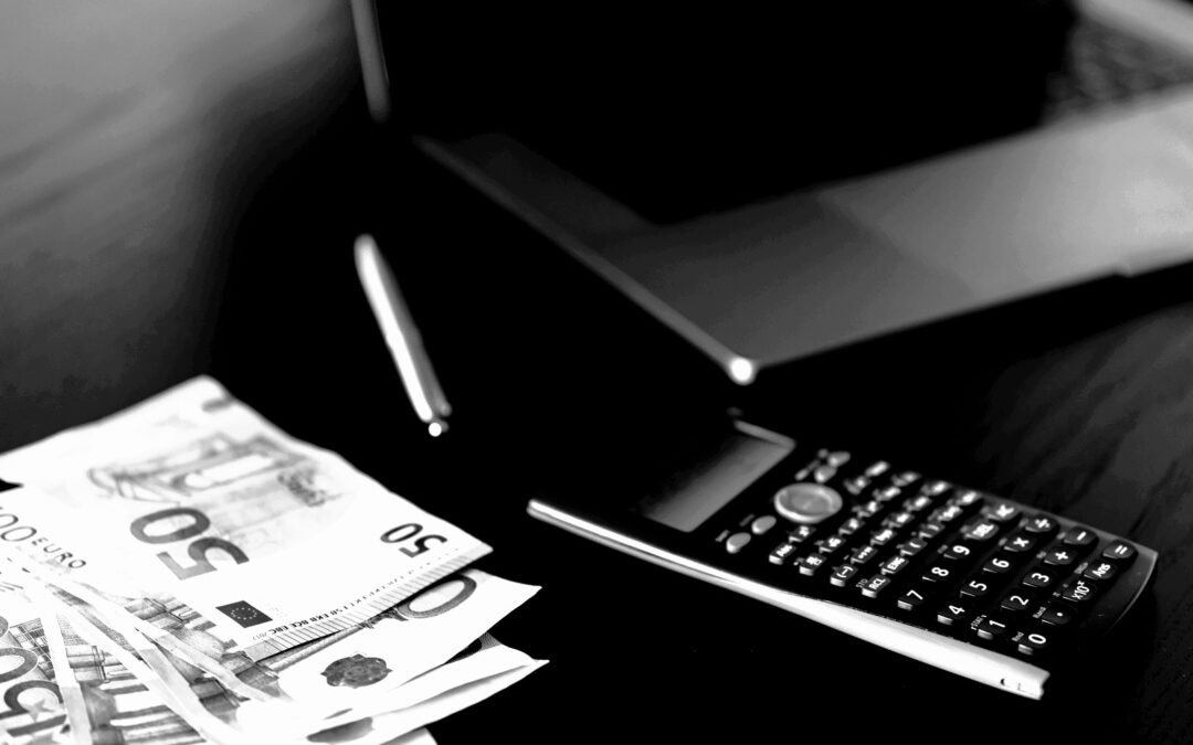 Progressionsvorteil EWIV: Wie die Europaeische Wirtschaftliche Interessenvereinigung Steuern spart