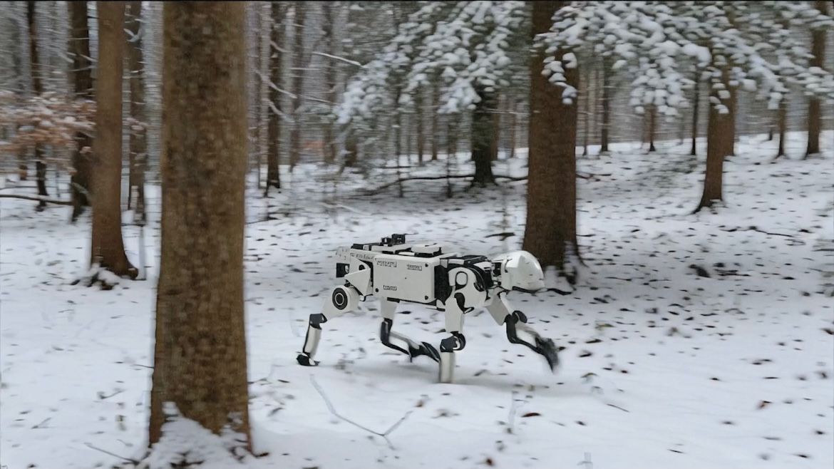 Wenn Augmentation zur Pflicht wird: DOGMA im Kino