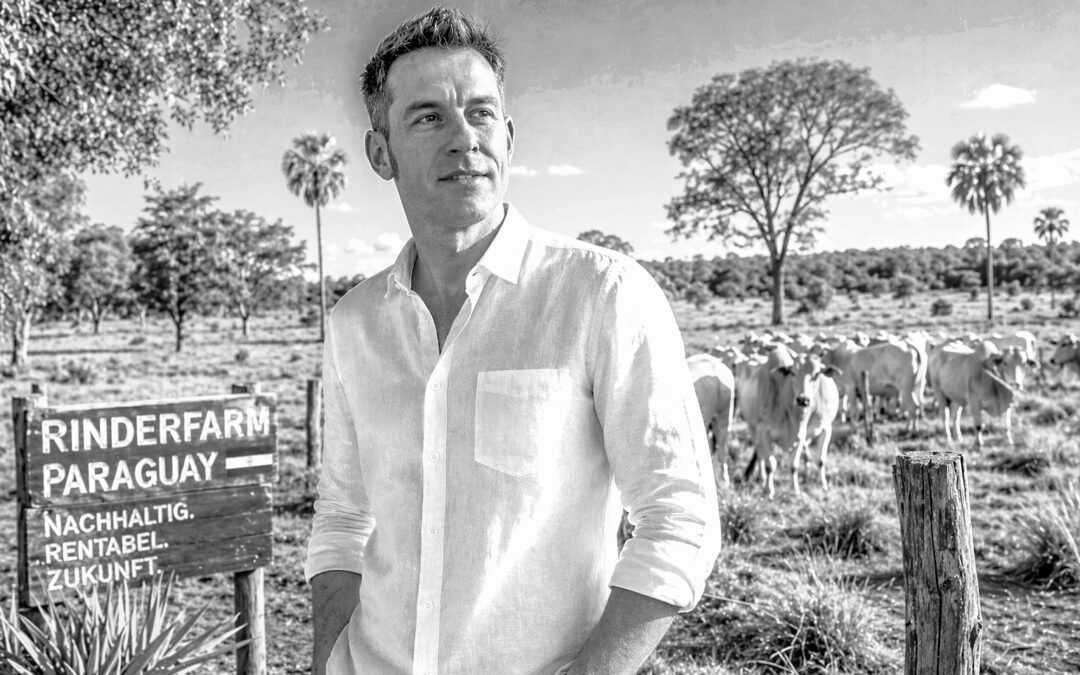 Nachhaltige Rendite mit Rindfleisch-Investment erwirtschaften